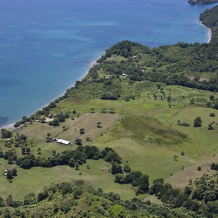 Hotel Punta De Aguila Necoclí エクステリア 写真